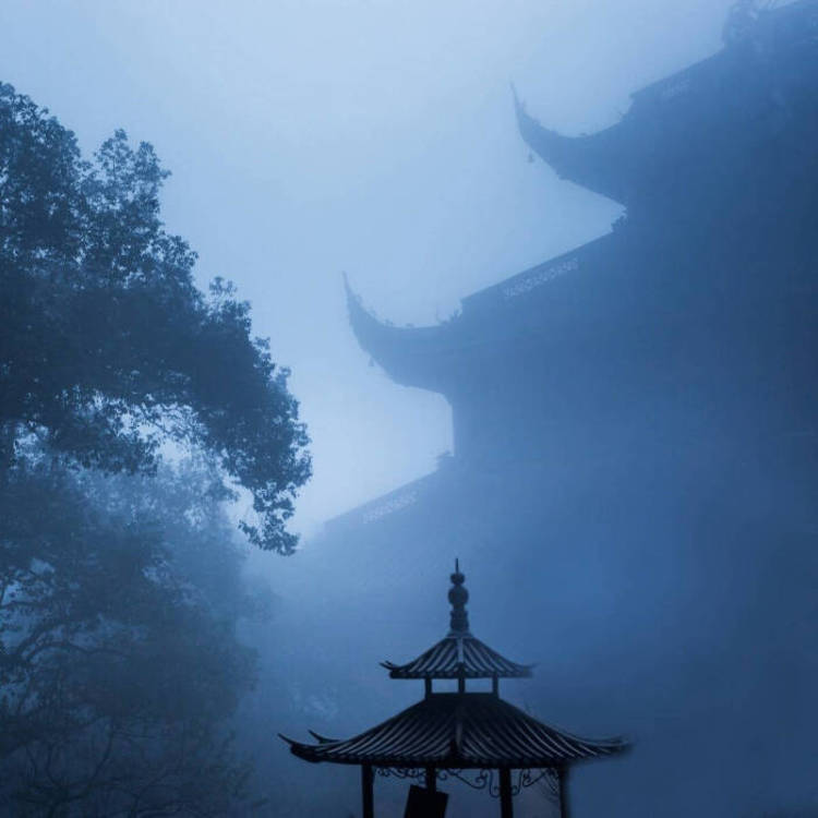 武井咲（饰 神谷熏） - 教育课程视频在线观看 - 网络看剧